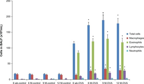 Figure 1 Pulmonary inflammation according to age in the acute asthma model. Total and differential cell counts in BAL fluid.Notes: Values shown are mean ± SEM (n = 8–12/group); *P < 0.05, compared with the 6-week-old OVA group.Abbreviations: BAL, bronchoalveolar lavage; BALF, bronchoalveolar lavage fluid; OVA, ovalbumin; wk, weeks; M, months; SEM, standard error of the mean.