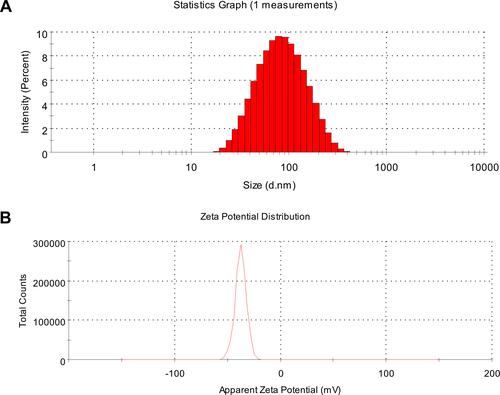 Figure 2 The particle size (A) and Zeta potential (B) of optimized CU1-LSLN.