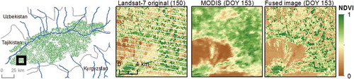 Figure 3. Example of data fusion of NDVI could free maps in 2004. Left: original Landsat-7 image with SLC-off, middle: MODIS image, right: cloud- and gap-free synthetic image.