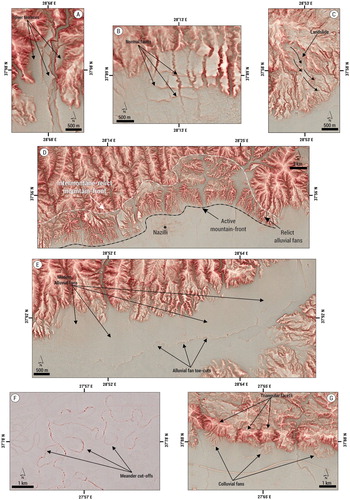 Figure 3. The examples of (a) the river terraces, (b) alluvial fan surface deformed by high-angle normal faults, (c) landslide, (d) relict alluvial fans, (e) modern alluvial fans and toe-cuts, (f) meander cut-offs and, (g) colluvial fans on the RRIM.