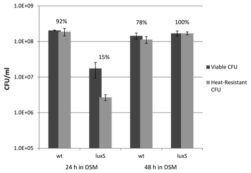 Figure 3.LuxS-deficient bacteria show signs of delayed sporulation. Ames wild-type and luxS bacteria were inoculated at equal concentrations (by OD600) in DSM. CFU counts were obtained at 24 h and 48 h by plating culture samples before and after heating for 30 min at 65°C. The percentages of heat-resistant spores at each time point are indicated above the colony counts and are based on the fraction of heat-resistant cells in the sampled media. These data are representative of three independent experiments.