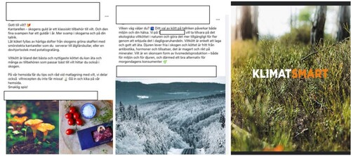 Figure 4. Text that accompanied the photos to the left and in the middle: “Game meat is among the best and most nutritious meat that you can eat, and many accessories can be found in the forest. […] What is your choice? Your choice of meat on your plate affects both the environment and your health. We want to take care of the ecological game meat in nature and make it accessible in retail.” The photo composition to the right consists of a close-up image of the forest and the words ‘climate smart' with reference to the choice of eating game meat being naturally climate friendly.