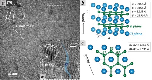 Figure 3. HR-TEM top view investigation of a TiB4.42 thin film, providing insights into inter-atomic length scales. The dashed lines in a mark certain nano-columns separated by B-rich tissue phases. A zoom-in (dashed square in a, highlights the selected area) is depicted in a-i, showing an ideally 0001 oriented column, with visible B hexagons of a basal B plane of the hexagonal TiB2 crystal lattice (SG191, P6mmm). Here, the measurements show an inter-atomic nearest B-B distance of 1.8 Å. The blue shaded area marks a ≈ 2 nm thick column-separating tissue phase (TP). In addition, b depicts a 2 × 2 × 2 AlB2 structured TiB2 supercell, with lattice constants a, b, and c. Ti and B atoms are marked in blue and green, respectively. c shows the TiB2 supercell with 0001 projection vector. B hexagons (also presented in a-i) from the B layer are visible, and B-B distances are delineated.