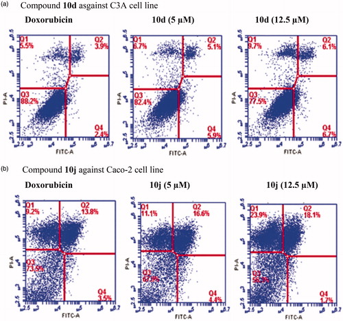 Figure 3. Effects of compounds 10d and 10j on the induction of apoptosis in C3A (3a) and Caco-2 cells (3b) as determined by Annexin V/PI staining. Data represent the percentage of apoptotic cells for the control and compounds 10d and 10j at 5 and 12.5 µM after 24 h.