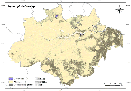 Figure 45. Occurrence area and records of Gymnophtalmus sp., showing the overlap with protected and deforested areas.