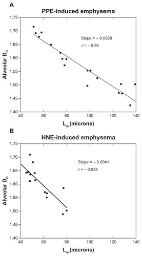 Figure 3 Relationship between alveolar fractal box dimension (DB) and mean linear intercept (Lm). Each datum point is the mean DB and Lm of one animal. (A) Porcine pancreatic elastase (PPE)-induced emphysema (N = 18). Estimated Spearman’s coefficient of correlation R = −0.94, P < 0.0001. (B) human neutrophil elastase (HNE)-induced emphysema (N = 14). Spearman’s coefficient, R = −0.834. P = 0.0001.