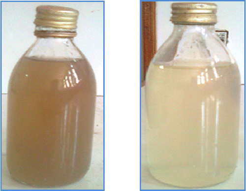 Figure 18 Wastewater colour transformation obtained after treatment.