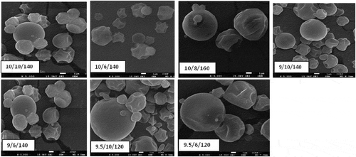 Figure 1. Morphology of the microencapsulates developed at different spray drying conditions.