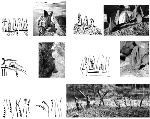 Figure 3. Graphics and layouts of sculptures in a natural landscape, the hamlet of Joniny Wielkie, Karsin commune, A. Kurkowska.