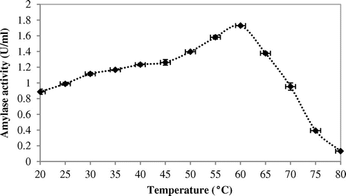 Figure 2. Effects of different temperatures on amylase activity.