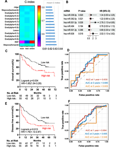 Figure 3 Selection of optimal prognostic model and construction of relative model. (A) Screening of the miRNAs with multivariate cox regression analysis (forward and backward), Ridge, Lasso, Enet and random survival forest (RSF) analysis. (B) The association of the two miRNAs (miR-501-5p and miR-638) with OS in the training cohort (110 samples). Kaplan-Meier analysis of the OS (C) and DFS (D) of HCC patients in the training cohort. The AUC of the two-miRNA prognostic model for OS (E) and DFS (F) rates of HCC patients at 1, 3, 5 years in the training cohort, respectively.