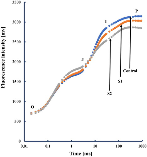 Figure 1. A typical Chlorophyll a polyphasic fluorescence rise OJIP, exhibited by salt-stressed tomato plants. The transients are plotted on a logarithmic time scale. the marks indicate the time points used by the JIP-test for the calculation of structural and functional parameters. The signals are the fluorescence intensity Fo (at 20 μs); the fluorescence intensities FJ (at 2 ms) and FI (at 30 ms); the maximal fluorescence intensity, FP = FM. Each transient represents the mean of 15 measurments.