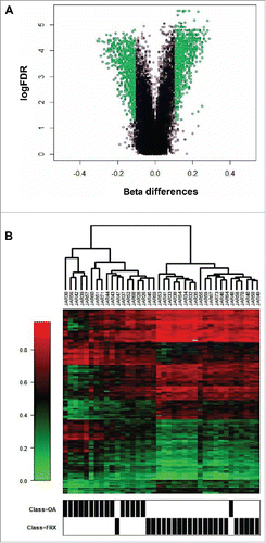 Figure 1. Methylation analysis of hMSCs. (A) Volcano plot of DNA methylation differences in enhancer regions of hMSCs obtained from fractures and OA. In green, sites with a FDR<0.05 and absolute β differences larger than 0.1 (B) Heat-map showing β values of enhancer regions. In red more methylated and in green less methylated. Samples are named with a laboratory identifier code (JAR).