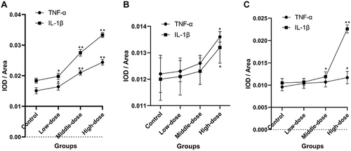 Figure 9 The IOD/Area value of TNF-α and IL-1β positive expression in the liver (A), heart (B) and kidney (C) tissues positive expression in each group. The IOD/Area were measured at 120h. Values are the mean±standard deviation. *P < 0.05 vs control group; **P < 0.01 vs control group. IOD/Area, average optical density.