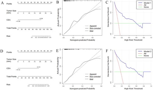 Figure 2 Development of nomogram to predict the occurrence of lymph node or organ metastasis in patients with nodules. (A) Model 1: for predicting the occurrence of lymph node or organ metastasis in patients with unidentified pulmonary nodule (size≤30 mm). To use the nomogram, an individual patient’s value is located on each variable axis, and a line is drawn upward to determine the number of points received for each variable value. The sum of these numbers is located on the Total Points axis, and a line is drawn downward to Risk axes to determine the risk of metastasis in patients with unidentified lesions. (B) The calibration curve for predicting the occurrence of lymph node or organ metastasis in patients with unidentified pulmonary nodules. (C) Decision curve analysis of nomograms based on model 1. (D) Model 2: for predicting the occurrence of lymph node or organ metastasis in patients with lung cancer (size≤30mm). (E) The calibration curve for predicting the occurrence of lymph node or organ metastasis in patients with lung cancer (size≤30mm). (F) Decision curve analysis of nomograms based on model 2.