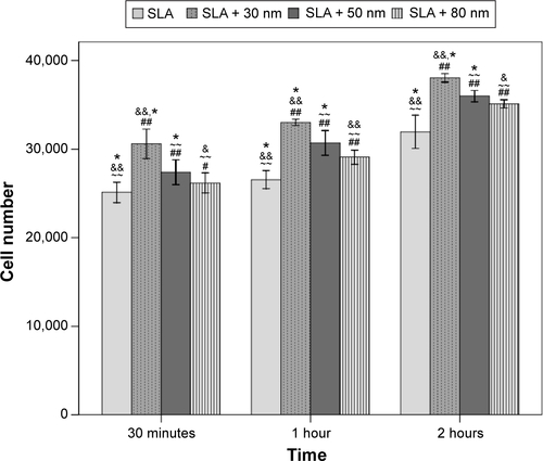 Figure S4 Cell numbers (mean ± standard deviation) on different surface at different times (n=3, ten different random fields of each disc).Notes: ##P<0.01 and #P<0.05 compared with the SLA group; ~~P<0.01 compared with the SLA + 30 nm group; &&P<0.01 and &P<0.05 compared with the SLA + 50 nm group; and *P<0.05 compared with the SLA + 80 nm group.Abbreviation: SLA, sandblasting with large grit and acid etching.