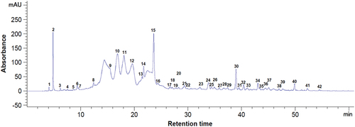 Figure 1. Chromatogram of the phenolic compounds at 280 nm from dried bilberry pomace. Peaks identification: 6 - gallic acid, 9 - protocatechuic acid, 10 - procyanidin B1, 14 - catechin, 18 - (–)-epicatechin, 19 - caffeic acid, 20 - syringic acid, 24 - procyanidin A1, 28 - p-coumaric acid, 29 - ellagic acid, 31 - sinapic acid, 32 - quercetin 3-glucoside, 36 - naringin, 1–5, 7, 8, 11–13, 15–17, 21–23, 25–27, 30, 33–35, 37–42 - unidentified compounds.