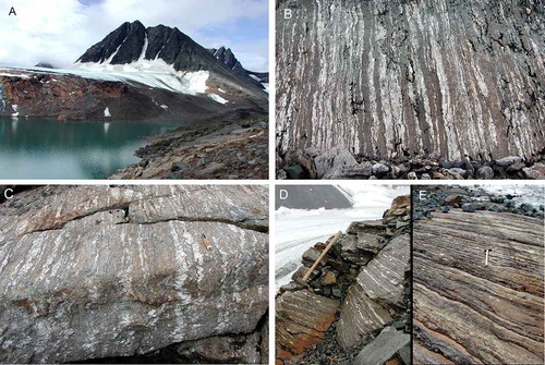 Figure 14. The boundary between the Mårma and Kebnekaise terranes exposed in front of the Reida glacier at Vaktposten. Brown mylonitic Leavasvággi gneiss is overridden by amphibolites of the KDC. B–E. Progressive deformation of the gneiss towards the thrust shown in Fig. A.: stromatic migmatite of the Mårma terrane (B) passing into crenulated migmatite with subhorizontal axial planes (C) and Storglaciären gneiss (D) and, eventually, into mylonite (E). Knife in Figure C is 18-cm long.