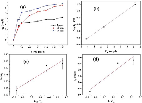 Figure 10. (a) Effect of RhB concentration on amount of dye adsorbed on L-Ser capped Fe3O4 NPs (qt), (b) Langmuir isotherm, (c) Freundlich isotherm (d) Tempkin isotherm models.