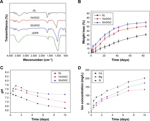 Figure 3 FTIR spectra (A) of nDPB, GL, 15nDGC and 30nDGC scaffolds; weight loss (B) of the scaffolds after being immersed in PBS solution for different time periods; pH changes (C) of solution after soaking the scaffolds in PBS for different time periods; changes of Ca, Mg, Si ion concentrations (D) in solution after soaking 30nDGC scaffolds in PBS for different time periods.Abbreviations: FTIR, Fourier transform infrared; GL, gliadin; nDPB, nanoporous diopside bioglass; PBS, phosphate-buffered saline.