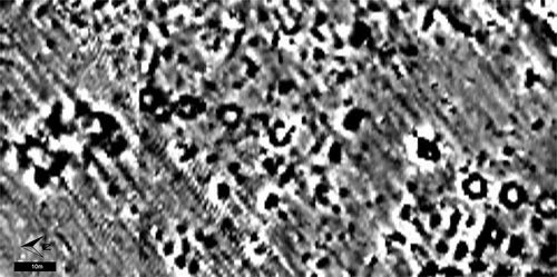 Figure 8. Magnetometry dataset from an 18th-century military encampment in Dorset. The annular features in the centre of the image are interpreted as remains of cookpits/field kitchens. Reproduced with permission (Barker Citation2015 Figure 9).