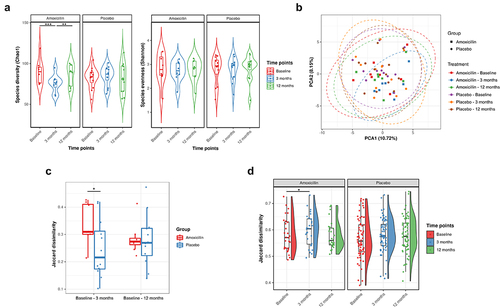 Figure 2. Impact of amoxicillin on fecal microbiota diversity and composition. (a) Violin plots reporting the species α-diversity measured and compared over time points in amoxicillin and placebo groups using Chao1 (richness; left) and Shannon (evenness; right) index, respectively. Each point corresponds to a given sample, and each box span from the first to third quartiles with a horizontal line inside the boxes representing the median. Adjusted P values were computed using the LME mixed effect model and the Tukey’s HSD post hoc test. Adjusted P values (P): ***P < .001, **P < .01; *P < .05. (b) Principal component analysis (PCA) based on the centered-log ratio (clr) transformed species abundance matrix. Each point represents the bacterial microbiome of an individual sample. Different symbols indicate different treatment groups; colors indicate different time points in different treatment groups. Ellipses represent 95% confidence intervals (CI) around the group clustered centroid. (c) Dissimilarity in microbiome composition between the baseline and the other time points, i.e., 3 and 12 months. Each point corresponds to Jaccard dissimilarity calculated between baseline and each of the other time point samples of the respective individual. Black horizontal line on the top connects statistically significantly different groups within each visit pair (*P < .05; Wilcoxon rank-sum test). (d) β-Diversity boxplots showing the distribution of the Jaccard dissimilarity in microbiome profile between individuals at the same time point within each treatment group. Each point is a comparison between two samples within the same time point group. The distributions are displayed to the right of the points, and boxplots showing the median and interquartile ranges are superimposed on top of the points (Statistical significance: paired Wilcoxon test (P values (P): *P < .05, **P < .01 and ***P < .001).