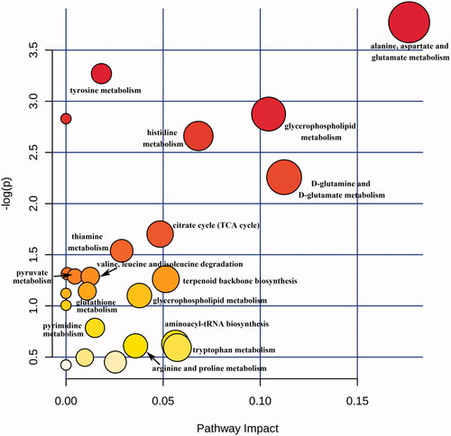 Figure 5. Scores of metabolite pathways involved by differential metabolites in ESRD patients without depression vs. ESRD patients with depression. The size and color of each circle are based on pathway impact value and p value, respectively.
