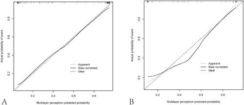 Figure 6. Calibration curves of the multilayer perceptron model prediction in the training (A) and test cohorts (B). Calibration curves depict the calibration of the established model in terms of the agreement between the predicted risks of moderate-severe renal pathological impairment and the observed outcomes of moderate-severe impairment. The y-axis shows actual moderate-severe impairment diagnoses, and the x-axis indicates the predicted moderate-severe impairment risk. The diagonal dotted line represents a perfect prediction by an ideal model. The solid line represents the performance of the model; a closer fit to the diagonal dotted line represents a more accurate prediction.