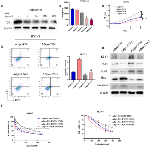 Figure 3. OJS inhibits adipocyte paracrine secretion of IGF1 to regulate OvCa progression.