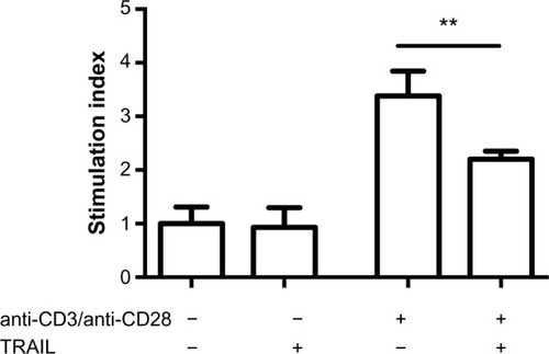 Figure 4 TRAIL impaired the proliferative capacity of murine CD4 cells.Notes: To assess the impact of TRAIL on CD4 cell proliferation, effector T-cells were subjected to anti-CD3/anti-CD28 stimulation with and without TRAIL. T-cell proliferation was determined by the MTT assay. The results are expressed as SI, which is calculated by dividing the mean optical density of stimulated cultures by the optical density of the nonstimulated (control) cultures. Bars represent mean values and standard errors of the mean. TRAIL significantly decreased proliferation induced by anti-CD3/anti-CD28 stimulation (P=0.0025). **P<0.01.Abbreviations: MTT, 3-(4,5-dimethylthiazol-2-yl)-2,5-diphenyltetrazolium bromide; SI, stimulation index; TNF, tumor necrosis factor; TRAIL, TNF-related apoptosis-inducing ligand.