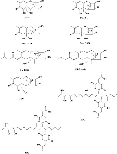 Figure 1. Chemical structures of DON, DOM-1, FB1, and analogues (3-AcDON, 15-AcDON, NIV, T-2, HT-2, and FB2).