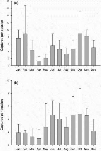 Figure 1. Monthly variation in the numbers (mean ± sd) of Robins mist-netted at the two Constant Effort Sites (CES) with larger numbers of captures. Totals include both new captures and recaptures of birds ringed on previous occasions. Data from four years pooled. (a) Margaraça, (b) Madriz.