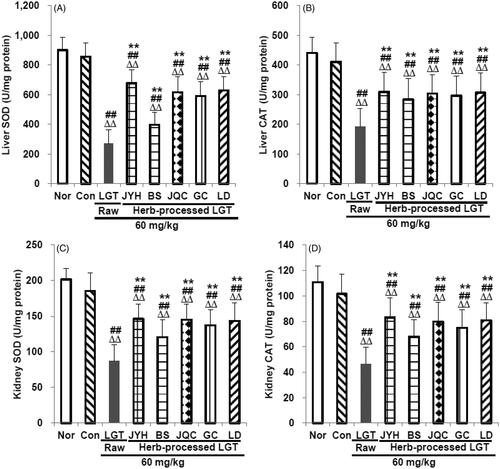 Figure 4. Effects of processed LGT treatment on primary antioxidant enzymes SOD (A,C) and CAT (B,D) levels in liver and kidney of LGT-exposed S180 tumour-bearing mice. Significant differences compared with the normal (Nor) group were designated as ΔΔp < 0.01, with the control (Con) group as ##p < 0.01, and with LGT raw product group as **p < 0.01.