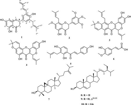 Figure 1. Structures of compounds 1-10 from the methanol root extract of A. heterophyllus.