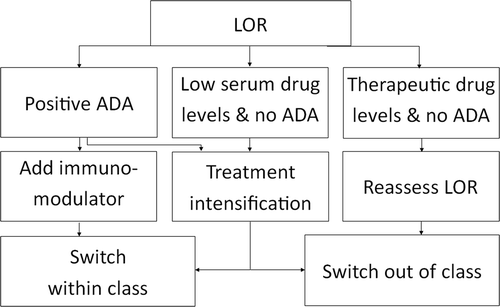Figure 1. TDM algorithm (LOR=Loss of response, ADA=anti-drug antibodies). In patients with positive ADA, an immunomodulator can be introduced or therapy intensification (increasing dose or decreasing interval) can be applied. If therapy intensification is not sufficient, switching to another agent (out or within class) is recommended.