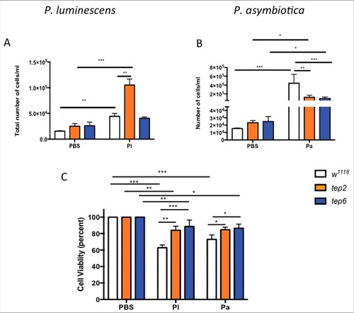 Figure 5. D. melanogaster tep2 and tep6 mutants display variable number of total hemocyte counts and increased hemocyte viability compared with control flies (w1118) after Photorhabdus infection. According to the hemocyte counting protocol, total number of hemocytes (total cells/ml) in tep2 and tep6 mutants with control flies after 18 h of injection with 1XPBS, (A) P. luminescens (Pl) or (B) P. asymbiotica (Pa). The percentage of total viable cells in the control and tep mutant flies at 18 hpi with 1XPBS, (C) P. luminescens and (D) P. asymbiotica. Significant differences are indicated with asterisks (#p < 0.05, ##p < 0.01, ###p < 0.001). Bars show the means from 3 independent experiments and error bars represent standard deviations