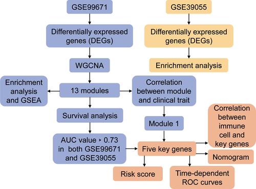 Figure 1 The flowchart of this study. The GSE99671 data and GSE39055 data were used to identify potential biomarkers related to the occurrence and recurrence of osteosarcoma. The module genes identified in GSE99671 were used to evaluate their prognostic and diagnostic value in GSE39055. Further screening of key genes may be a target for diagnosis and treatment of osteosarcoma.