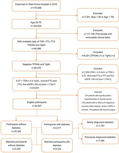 Figure 1 Screening process of the participants.Abbreviations: TSH, thyroid stimulating hormone; FT4, free thyroxine; FT3, free triiodothyronine; TPOAb, thyroid peroxidase antibody; TGAb, thyroglobulin antibody; COPD, chronic obstructive pulmonary disease; eGFR, estimated glomerular filtration rate.