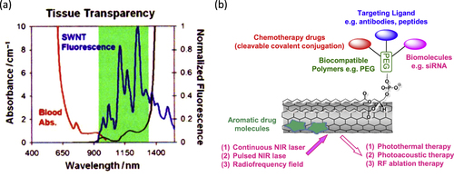 Figure 24. (a) SWCNT fluoresce (blue) in the NIR region. Blood (red) and water (black) absorbance occurs in the visible and NIR region, respectively. The gap in tissue absorbance, which occurs in the NIR region, ensures minimal tissue interference with SWCNT PL emission. (b) A schematic drawing showing various approaches for CNT-based drug delivery and cancer therapies based on PEG-PL as the platform. Part (a) reproduced with permission from A A Boghossian et al 2011 Chem. Sus. Chem. 4 848. Copyright 2011 John Wiley and Sons. Part (b) reproduced based on [Citation300].