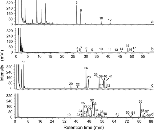 Fig. 3. HPLC-ELSD chromatograms of the floral head (A), and root (B), extracts of C. officinalis and the aerial part (C), and root (D), extracts of S. officinalis on a similar scale.