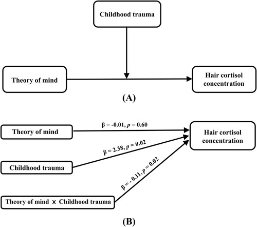 Figure 1. Conceptual (A) and statistical (B) model of the association between ToM and HCC moderated by the presence of childhood trauma. The regression coefficients in (B) are calculated in a moderation analysis model including age, sex, education, perceived stress (PSS), depression (BDI) and anxiety (SAI) as covariates.