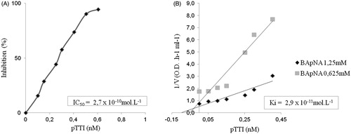 Figure 8. Estimation of pTTI specificity parameters. (A) Trypsin inhibition curve using increasing amounts of pTTI. (B) Estimation of inhibition kinetics and pTTI trypsin inhibition constant. pTTI: purified tamarind trypsin inhibitor from T. indica L.