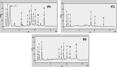Figure 2. HPLC phenolic profile of (A) methanol, (B) chloroform, and (C) hexane extracts of A. rutifolia leaves. Peaks: (1) myricetin, (2) quercetin, (3) gallic acid, (4) caffeic acid, (5) chlorogenic acid, (6) syringic acid, (7) p-coumaric acid, (8) vanillic acid, (9) m-coumaric acid, (10) ferulic acid, and (11) sinapic acid.
