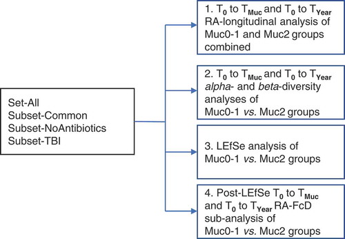 Figure 1. Analytical design for fold changes and changes in beta-diversity of hematological cancer patients undergoing conditioning therapy with and without oral mucositis.