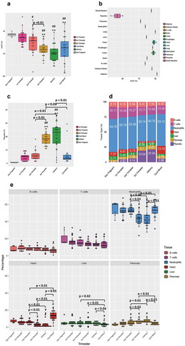 Figure 2. Changes in DNA methylation and cfDNA composition with advancing gestation. (a) The box plot shows the total CGs methylation in all the subjects (n = 26) recruited in the study across all pregnancies and in cord blood. (b) The box plot shows the total CpGs methylation over the whole genome for 12 normal tissue types and placenta. The normal tissues include four samples of heart, two of colon, and one of adipose tissue, adrenal gland, brain, liver, oesophagus, lung, pancreas and small intestine. The placenta includes 4 samples from normal individuals. The WGBS data for B-cells and neutrophils are from Hodges et al. 2009 [Citation21] and the rest of the normal tissue are from Roadmap Epigenomics Mapping Consortium (ftp://ftp.genboree.org/EpigenomeAtlas/). The placenta data are from Jensen et al. 2015 [Citation22] with mCG calculated as # of methylated CpGs/# of all CpGs from the sequencing data. (c) The plot shows the placenta relative percentage in maternal plasma during pregnancy. The plasma from 7 nulliparous young never pregnant women was used as controls and is represented with a grey bar. (D)The plot shows the deconvolution analysis result for seven tissues. Each bar is an average of the results we obtained from every single subject at each time point of the study. (e) The panel is a whole picture of the deconvolution results obtained from the cell-free DNA analyses. Each dot represents a single subject. (#) indicates statistically significant changes in comparison to the non-pregnant controls by the one-way ANOVA followed by Bonferroni correction. (#) p < 0.05; (##) p < 0.01. (*) indicates statistically significant changes when compared to 1st Trimester values by the one-way ANOVA followed by Bonferroni correction. (*) P < 0.05; (**) P < 0.01