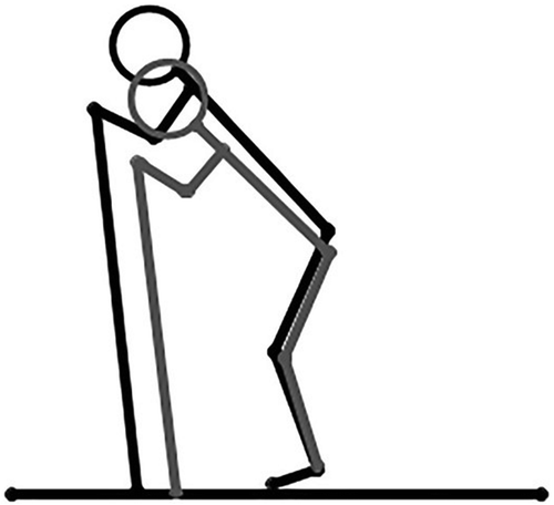 Figure 3 . Mean body position during pole plant for the female (grey lines) and male (black lines) skiers. The skiers are scaled according to mean body height.