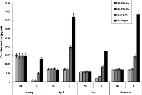 Figure 4. Daily variations of serum catecholamines (norepinephrine and epinephrine) levels in male Triturus carnifex. Values are means ± SE of the mean. For each group, five animals were used. Epinephrine: P < 0.001 between 11:00 am and 5:00 pm levels; P < 0.001 between 5:00 pm and 11:00 pm levels.