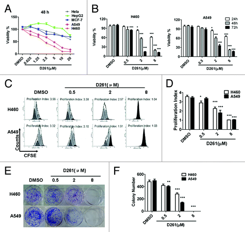Figure 2. Growth inhibition of human NSCLC cells NCI-H460 and A549 induced by D261. (A and B) Cancer cells were treated with increasing concentrations of D261 for the indicated times. Cell viabilities were evaluated by the CCK-8 assay and denoted as a percentage of vehicle control at the concurrent time point. The bars indicate mean ± SEM (n = 5). (C and D) Cells were stained with CFSE, treated with D261 for 72 h and detected by FACS. Proliferation index was analyzed by modfit software. (E and F) Cells were treated with increasing concentrations of D261 for 24 h and allowed to grow at very low cell density. Colonies were photographed by light microscopy 7 d later and counted as shown. Data are shown as mean ± SEM (n = 3) of one representative experiment. Similar results were obtained in at least three independent experiments. *P < 0.05, **P < 0.01, ***P < 0.001, compared with DMSO control.