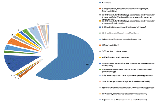 Figure 5. Distribution of genes in CTnHyb according to COG (Cluster of Orthologous Gene class). COG ID numbers and classification were taken from the Integrated Microbial Genomes and Metagenomes (IMG) at the Department of Energy Joint Genome Institute. (http://img.jgi.doe.gov/cgi-bin/w/main.cgi?section=FindGenes&page=geneSearch). Eighty-eight genes in CTnHyb do not belong to any COG. Similarly, RAST analysis of the entire BF-HMW 615 genome sequence indicates that 69% of the putative genes are not assigned to any subsystem (a subsystem is a method of categorization that can be thought of as roughly equivalent to a COG). Of the remaining 57 genes in CTnHyb(L), almost one third of the genes (n = 18) are in COG L (replication, recombination and repair) which includes such genes as DNA primases, excionases, integrases and transferases. Another 11 genes are annotated as “viral proteins” and are not assigned to a COG class, even though several are also functionally annotated as excisionase or integrase proteins.