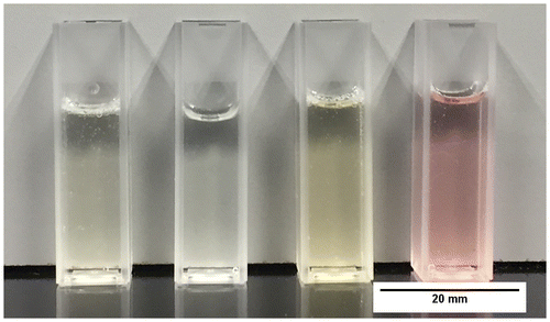 Figure 1. Chitosan composite hydrogels (L–R): plain chitosan, Chi-TEOS IPN, Chi-TEOS IPN-Ag and Chi-TEOS IPN-Au.